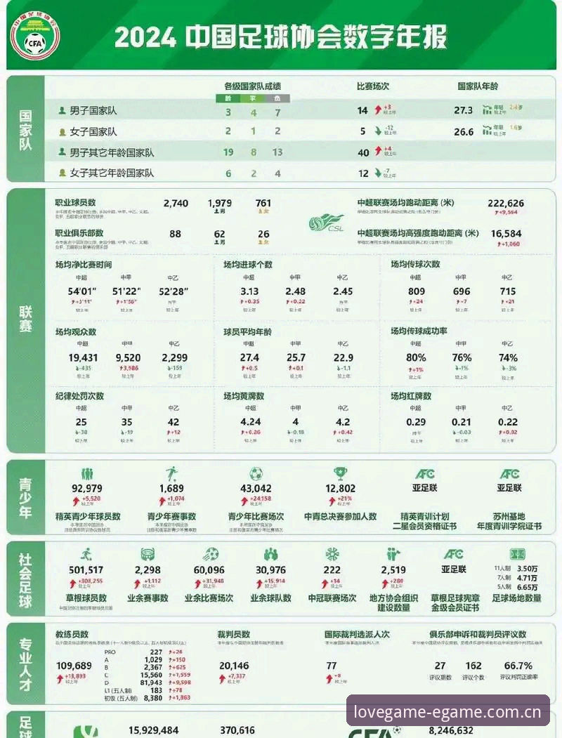 中国足协第三批禁足名单全面解析：17人终身禁赛背后的足球腐败深度剖析